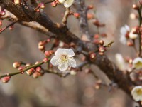 IMG_7835