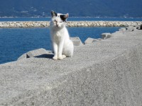 IMG_3522